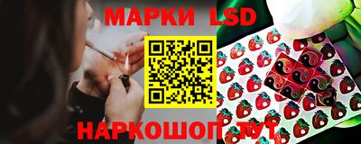 мяу мяу мука Абакан