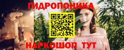 мяу мяу мука Абакан