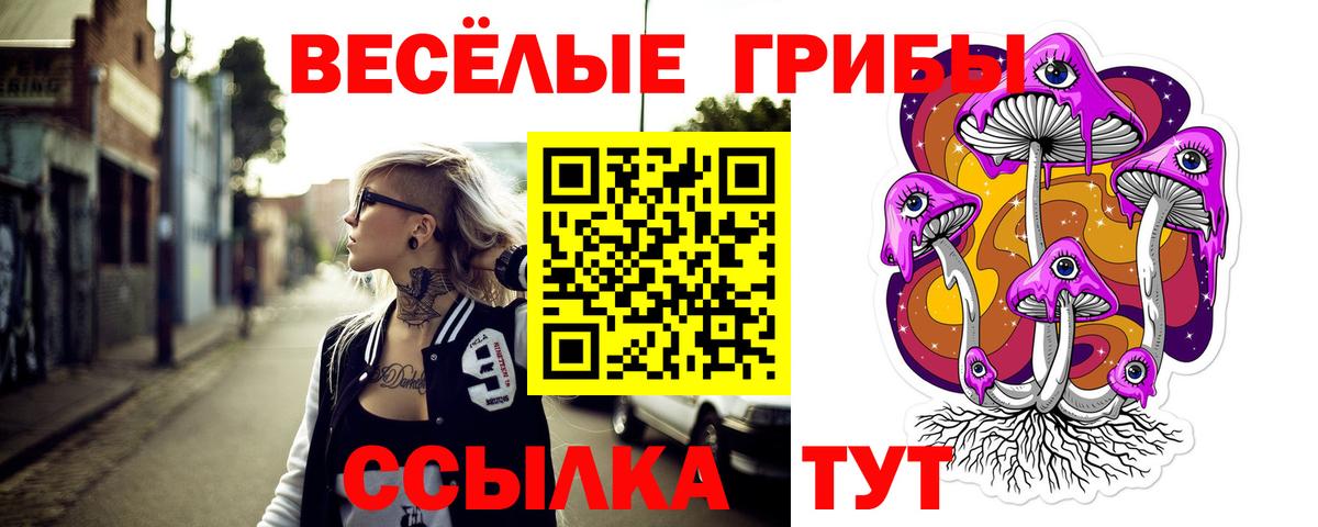Галлюциногенные грибы Psilocybe  Псилоцибиновые грибы мицелий  Амурск  Вход с VPN 